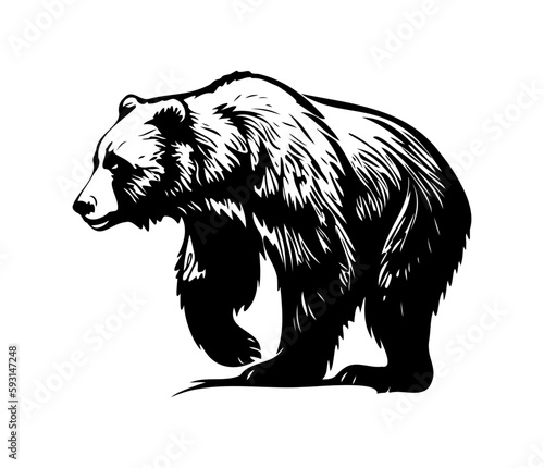 Grizzly bear Face, Silhouettes Grizzly bear Face SVG, black and white Grizzly bear vector