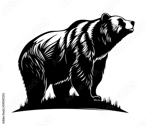 Grizzly bear Face, Silhouettes Grizzly bear Face SVG, black and white Grizzly bear vector
