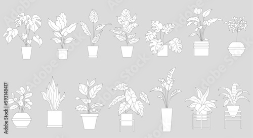 Flat vector Illustration of a foliage plant