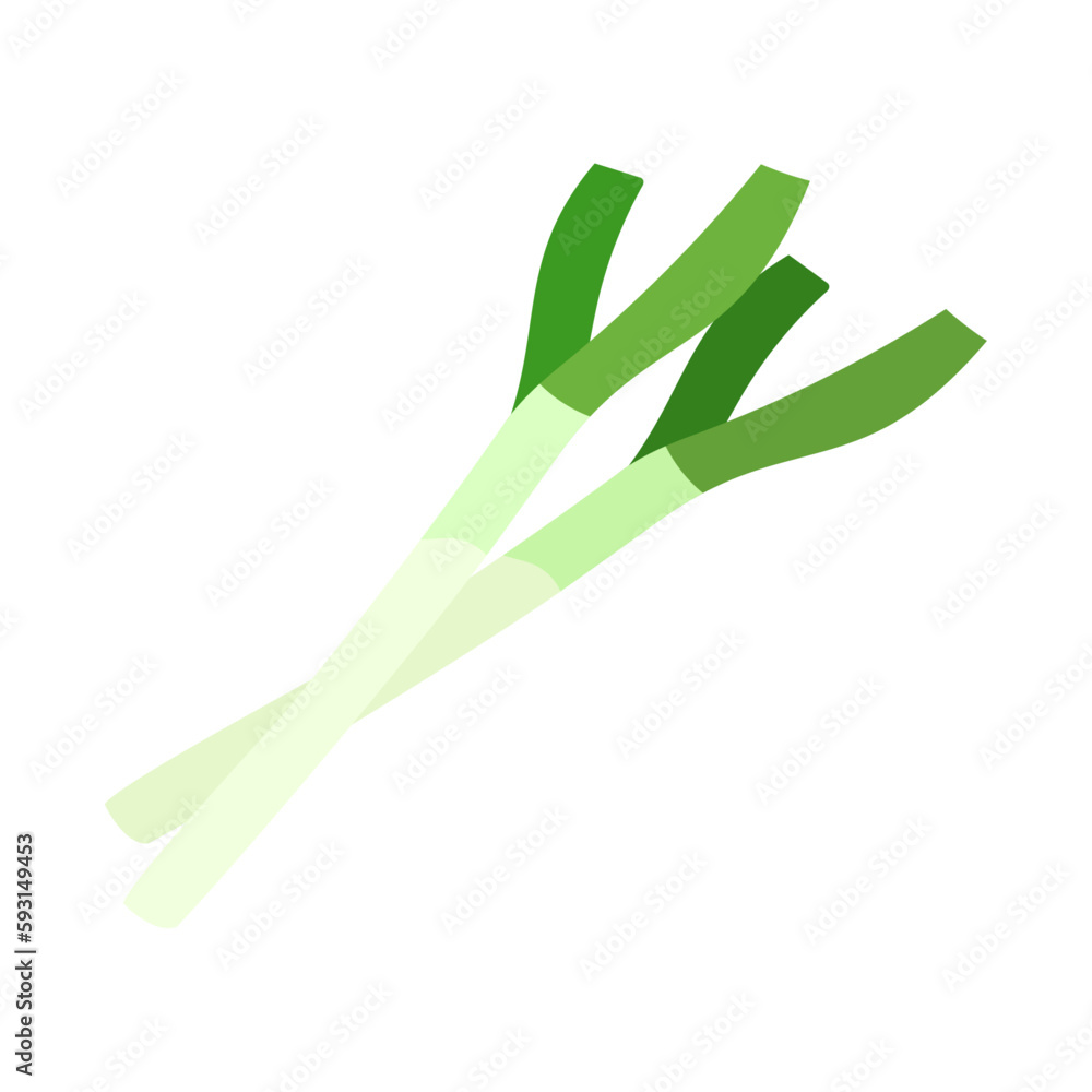 長ネギ。フラットなベクターイラスト。
Green onion. Flat designed vector illustration. 長ネギ。フラットなベクターイラスト。
Green onion. Flat designed vector illustration.