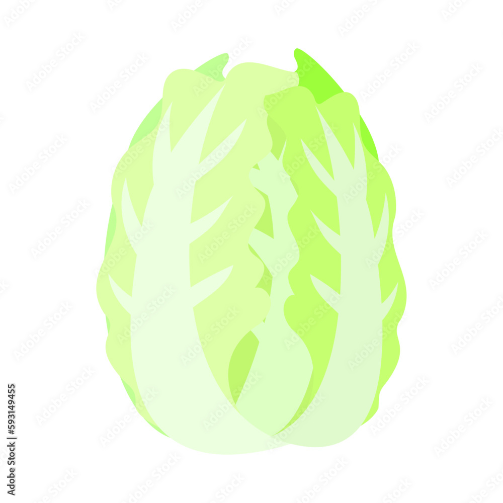 白菜。フラットなベクターイラスト。
Chinese cabbage. Flat designed vector illustration. 白菜。フラットなベクターイラスト。
Chinese cabbage. Flat designed vector illustration.
