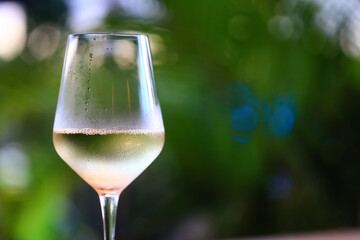 white wine tasting, chilled ice wine in a cold glass in summer