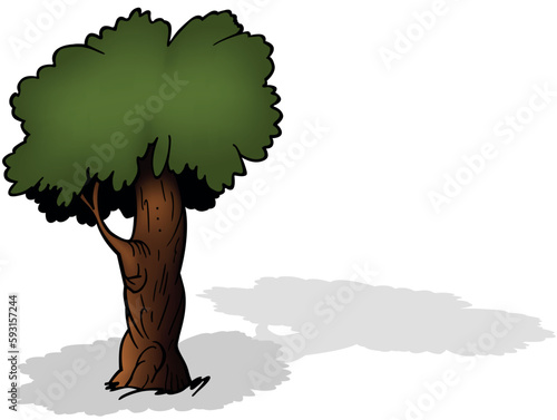 Deciduous Tree with Green F...