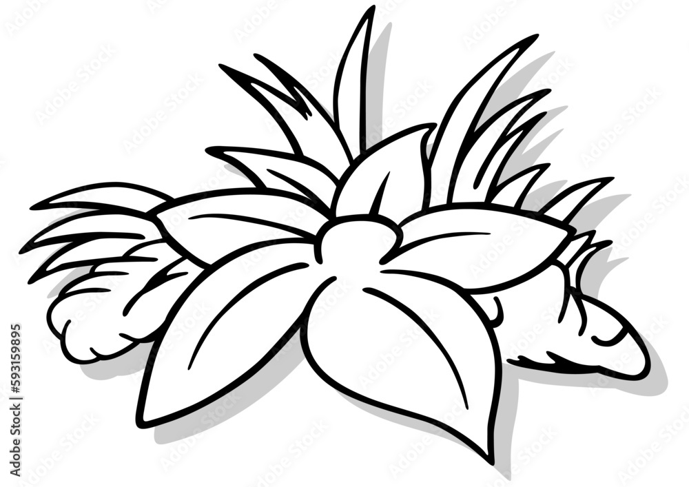 Drawing of a Large Lying Flower in the Grass