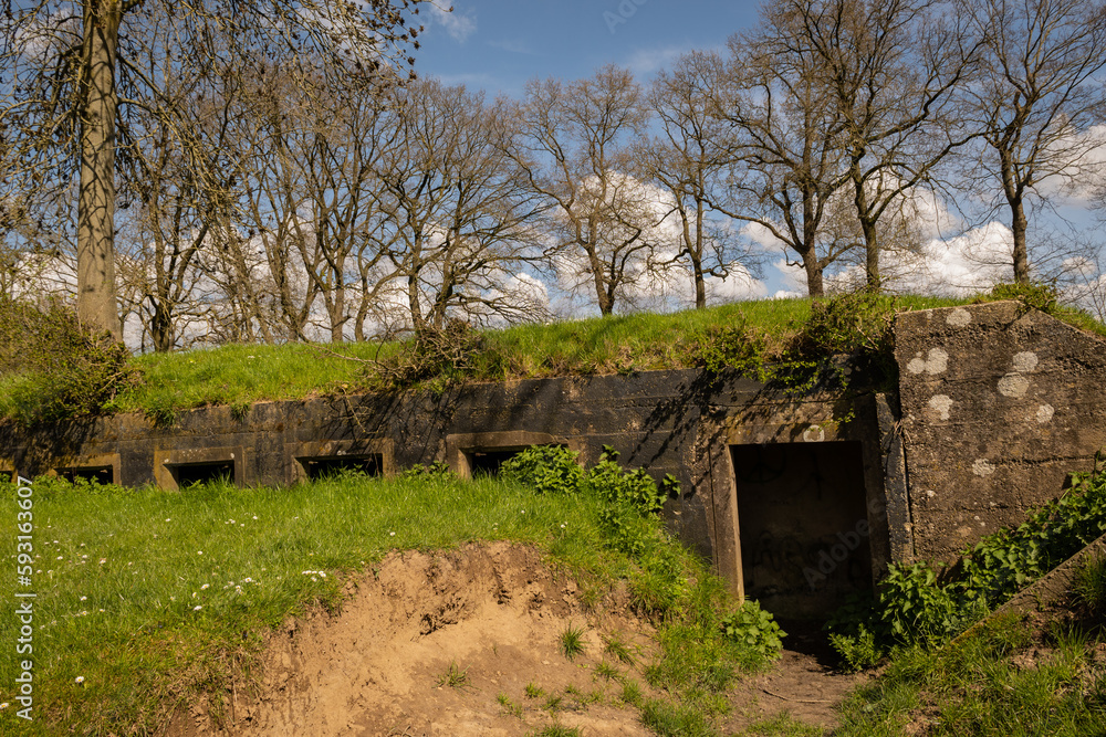 overgrown decaying remains of Fort Bij Rijnauwen near Utrecht in netherlands countryside. bombproof barracks military instillation on new Dutch Waterline housed troops for defence  