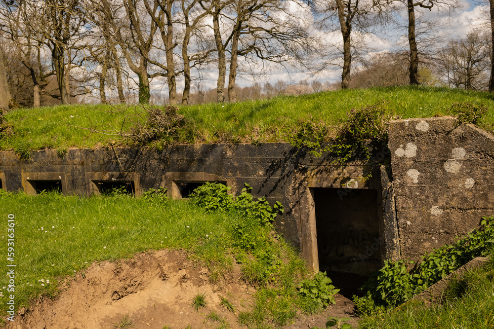 overgrown decaying remains of Fort Bij Rijnauwen near Utrecht in netherlands countryside. bombproof barracks military instillation on new Dutch Waterline housed troops for defence  