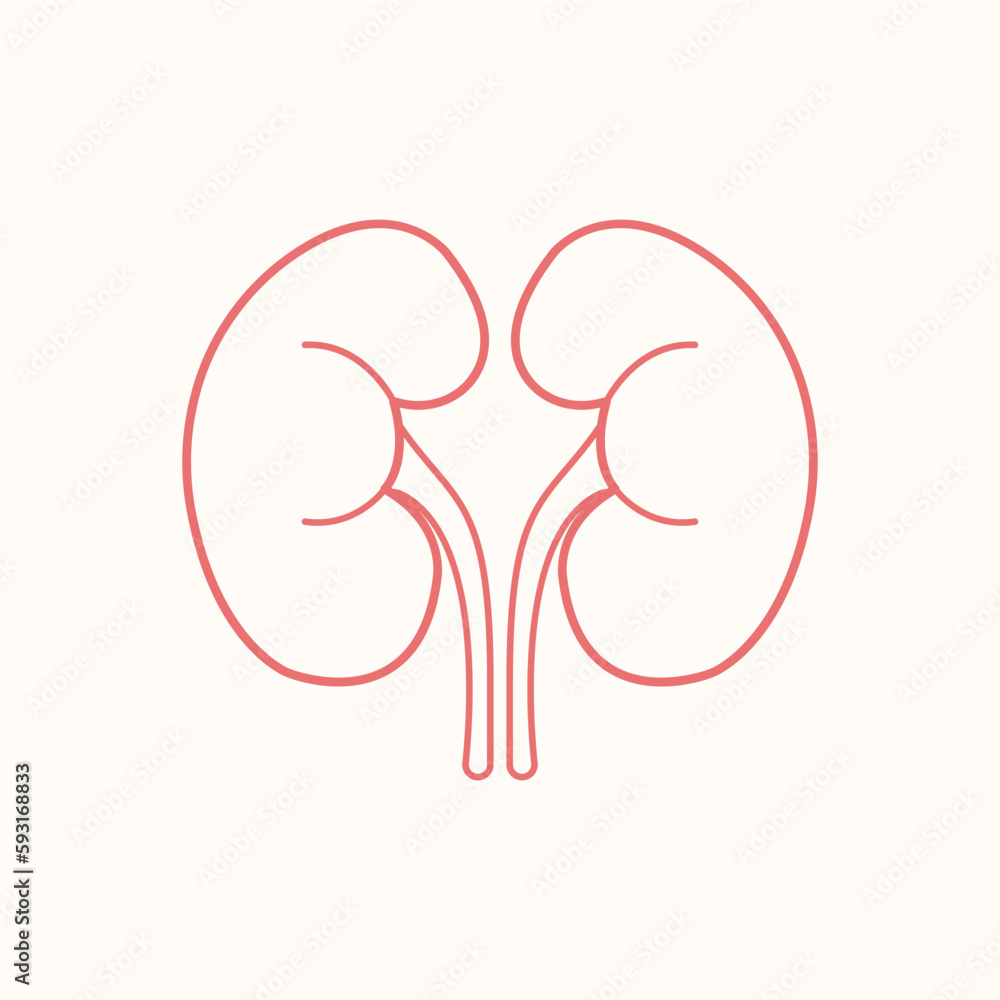 world kidney day element design, line art kidney design world kidney day element design, line art kidney design