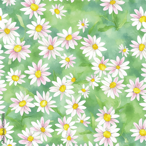 Seamless pattern daisy flowers watercolor illustration