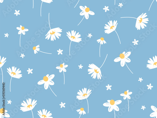 Seamless pattern with daisy flower on blue background vector illustration.