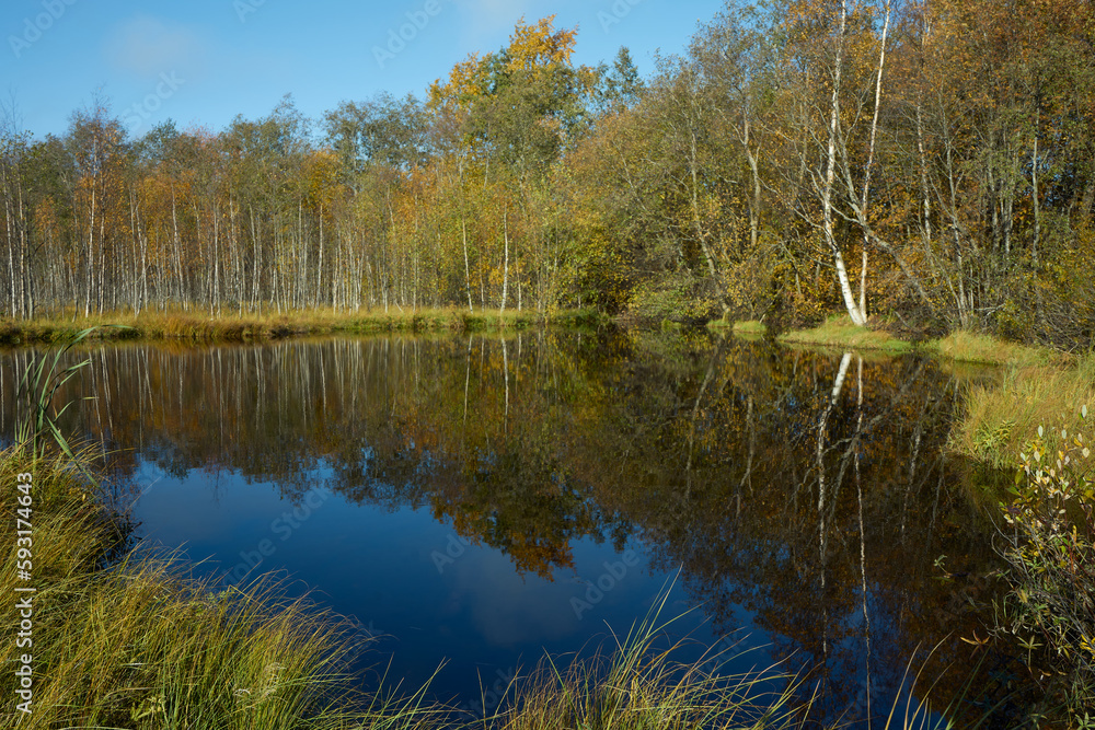 Autumn nature is reflected in water of forest small lake: nature of Northern Europe, Karelia. Autumn nature is reflected in water of forest small lake: nature of Northern Europe, Karelia.