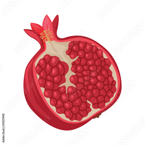 Red Pomegranate Fruit as Georgia Cultural Symbol and Country Attribute Vector Illustration