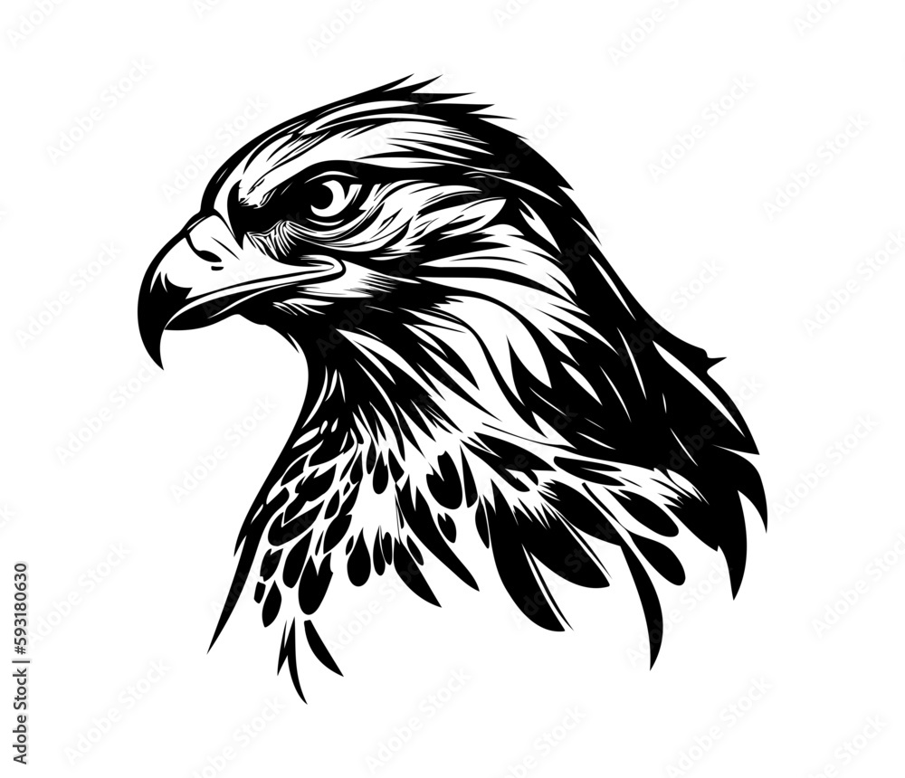 Fototapeta premium Hawk Face, Silhouettes Hawk Face SVG, black and white Hawk vector