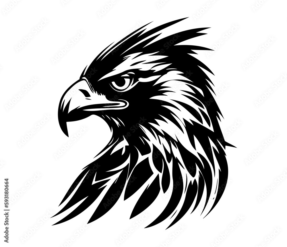 Fototapeta premium Hawk Face, Silhouettes Hawk Face SVG, black and white Hawk vector
