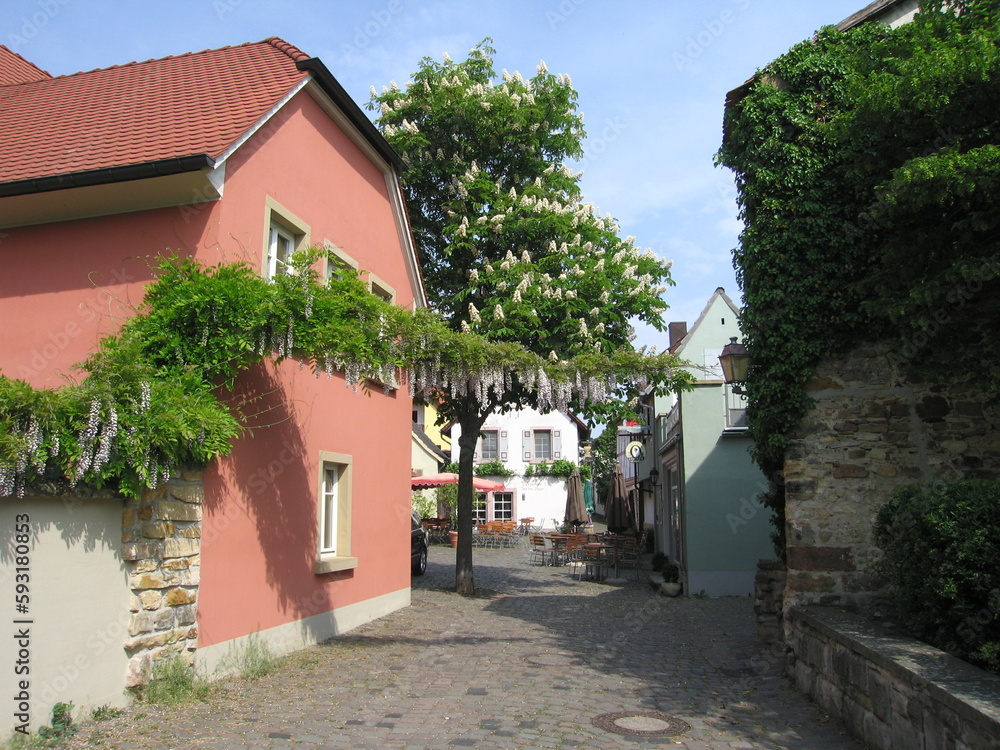 Gasse in der Altstadt von Freinsheim
