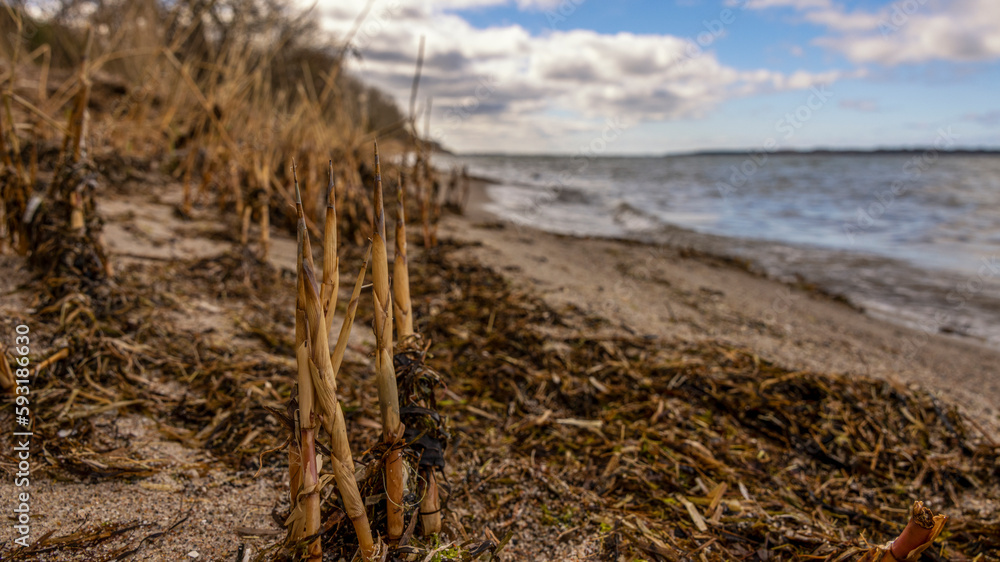 Wieker Bodden - Insel Rügen Vorpommern