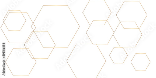 Background with hexagons . Abstract background with lines . white texture background . white and hexagon abstract background. white paper texture and futuristic business .