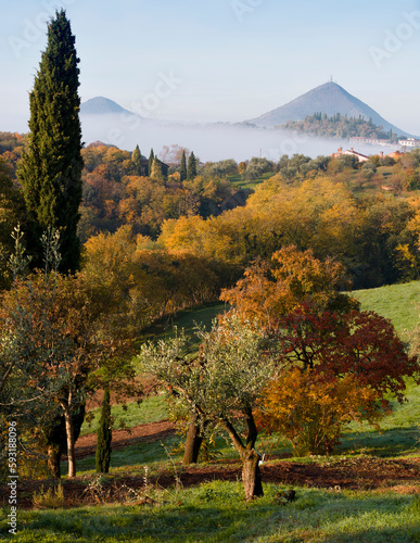 Padova. Bosco dei Colli Euganei con Monte Venda
