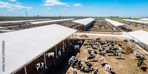 Aerial photography of cowshed in modern large-scale cattle farm photo