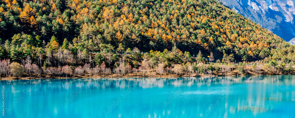 Spruce and blue lake in Blue Moon Valley, Yulong Snow Mountain, Lijiang, Yunnan, China