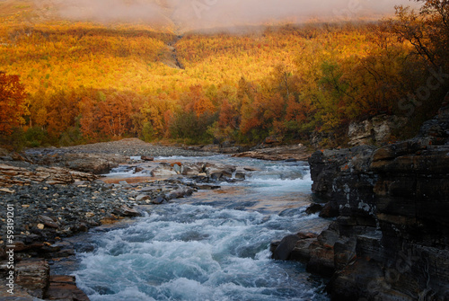 Photos Flowing water in autumn. Abisko national park in north of Sweden.