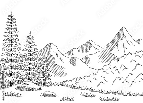 Taiga forest mountains hill graphic black white landscape sketch illustration vector