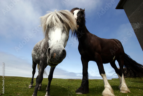 Bray Head - Valentia Island - Kerry - Ireland