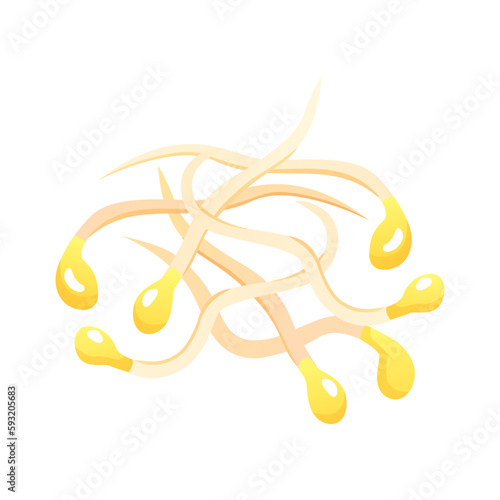 Soy Beans Sprouts
