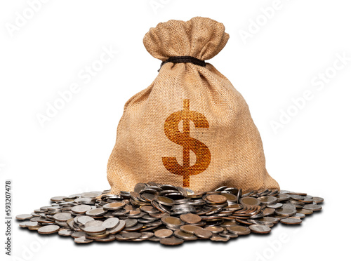 bag of money