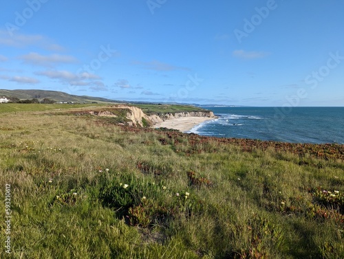 wildflowers and sea figs bloom on the rugged coastal cliffs  framing the Pacific Ocean skyline in Half Moon Bay  California