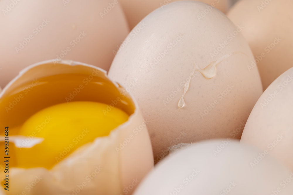 a half-broken chicken egg in a tray with a lot of chicken eggs a half-broken chicken egg in a tray with a lot of chicken eggs