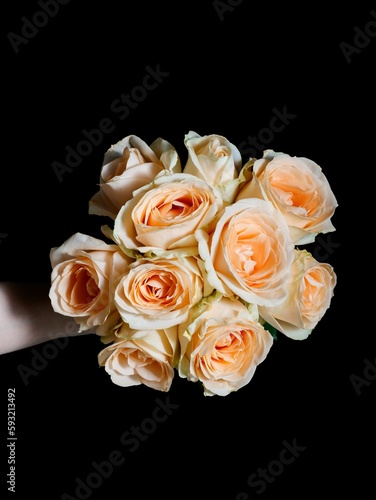 Fototapeta Naklejka Na Ścianę i Meble -  Vertical shot of a hand holding a bouquet of colorful roses in a studio on a dark background