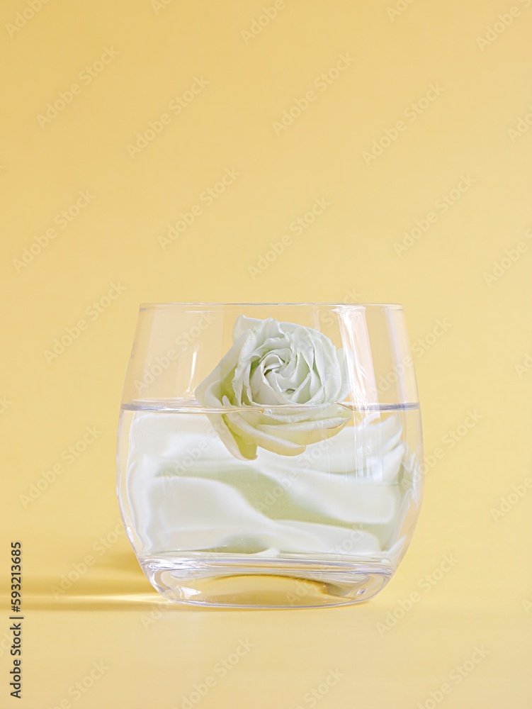 Closeup of a glass of water with a delicate white rose in it isolated on a pastel yellow background Closeup of a glass of water with a delicate white rose in it isolated on a pastel yellow background