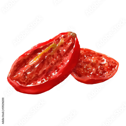 Dried Tomatoes Isolated Hand Drawn Painting Illustration