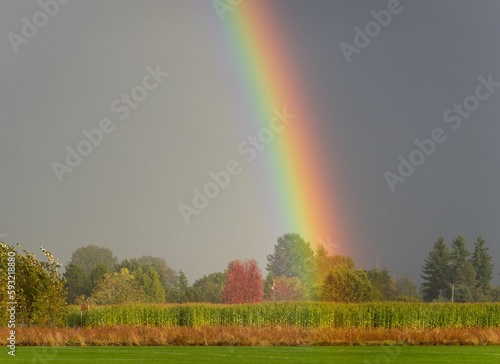 Beautiful view of the rainbow over the cornfield