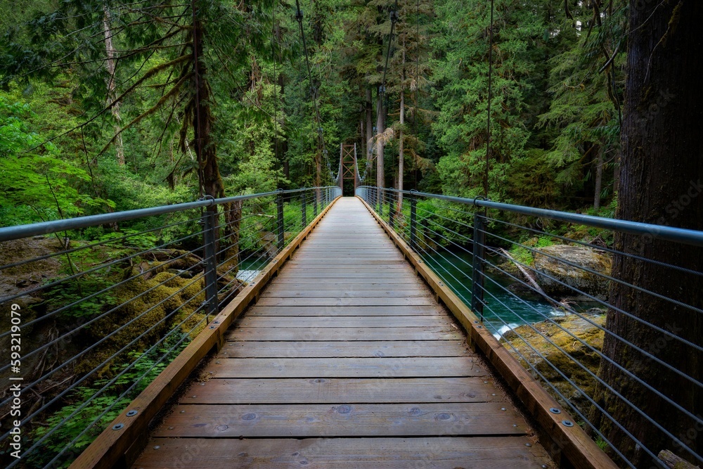 Beautiful view of a forest bridge corssing in the Pacific Northwest Beautiful view of a forest bridge corssing in the Pacific Northwest