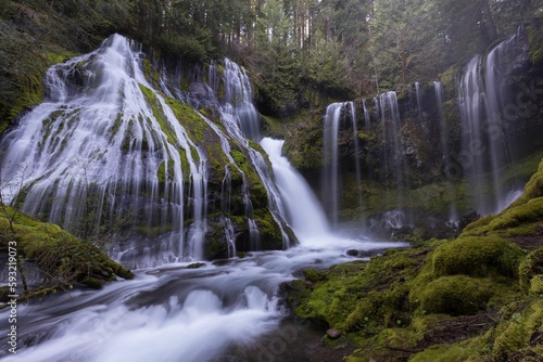 Low-angle view of a beautiful waterfall flowing in the forest in the Pacific Northwest