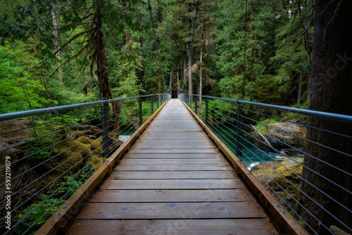 Beautiful view of a forest bridge corssing in the Pacific Northwest