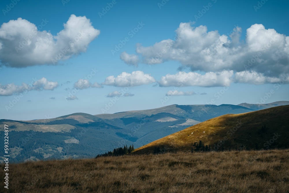 Plain landscape with forest mountains and cloudscape in the background