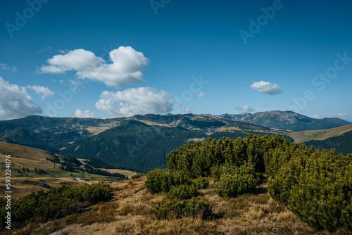 Plain landscape with forest mountains and cloudscape in the background