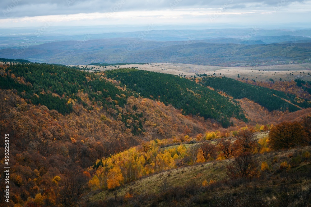 Beautiful landscape of big hills and mountains covered in dense forests on a sunny autumn day