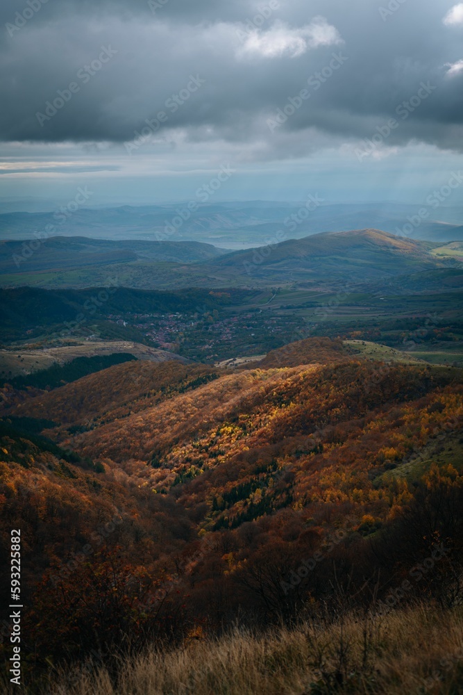 Vertical shot of the big mountains covered in yellow forests under the gloomy autumn sky