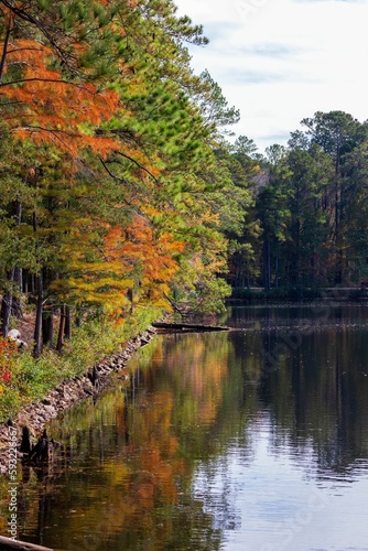 Vertical of a lake surrounded by autumn trees at Cheraw State Park in Chesterfield, South Carolina photo