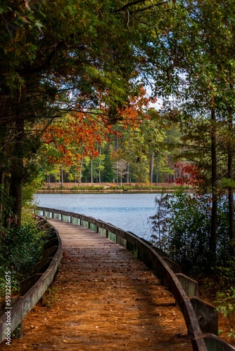 Vertical of a pier on lake against autumn trees at Cheraw State Park in Chesterfield  South Carolina