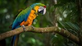 Green-winged Macaw eating a nut