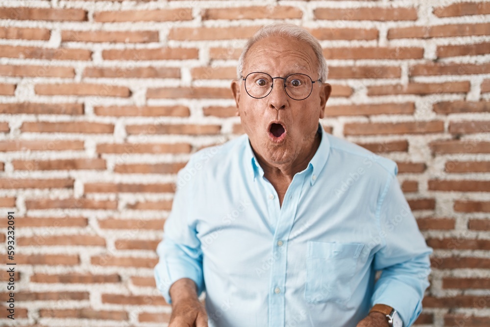 Senior man with grey hair standing over bricks wall afraid and shocked with surprise and amazed expression, fear and excited face. Senior man with grey hair standing over bricks wall afraid and shocked with surprise and amazed expression, fear and excited face.