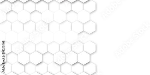 Fototapeta Naklejka Na Ścianę i Meble -  Abstract background with seamless geometric pattern . Geometry pattern hexagon. Hexagonal netting. Honeycomb background. Abstract vector background. 3D abstraction of nanotechnology and science .	