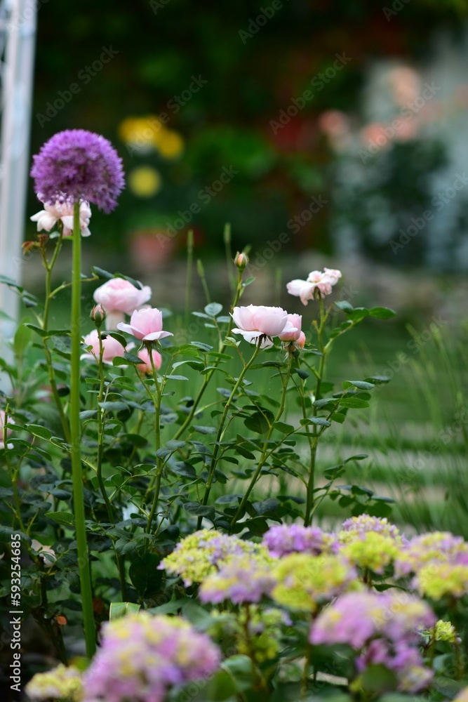 Vertical shot of flowers in a garden against blurred background Vertical shot of flowers in a garden against blurred background