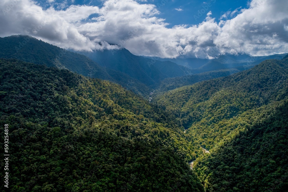 Aerial view of the rainforest with cloudy skies