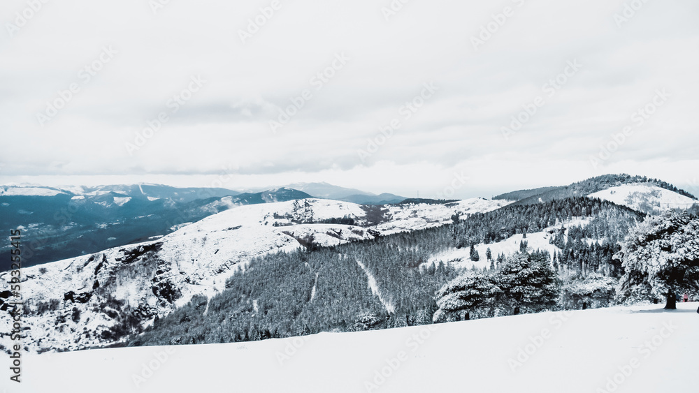 Obraz premium OLYMPUS DIGITAL CAMERA