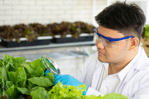 Portrait of Scientist Doing Experiment in griculture Lab to Develope Genetic Modification Crops photo